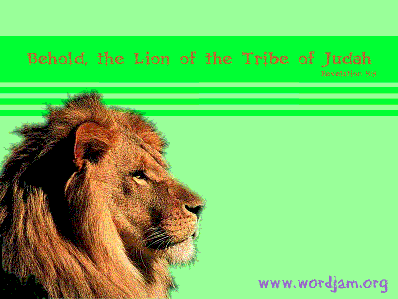 lion of judah wallpaper. Lion of the Tribe of Judah